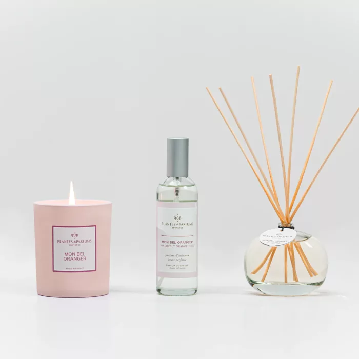 Parfum d'intérieur - Violette printanière – Image 2
